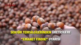 Sektör temsilcilerinden üreticilere ''emanet fındık'' uyarısı